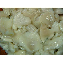 Pleurotus Ostreatus In Brine